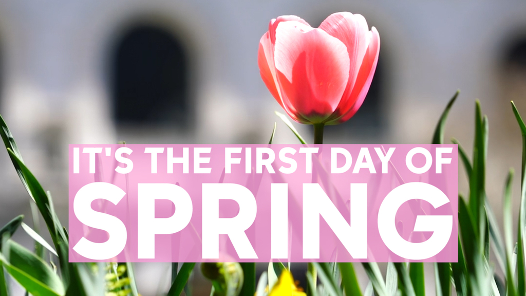 spring