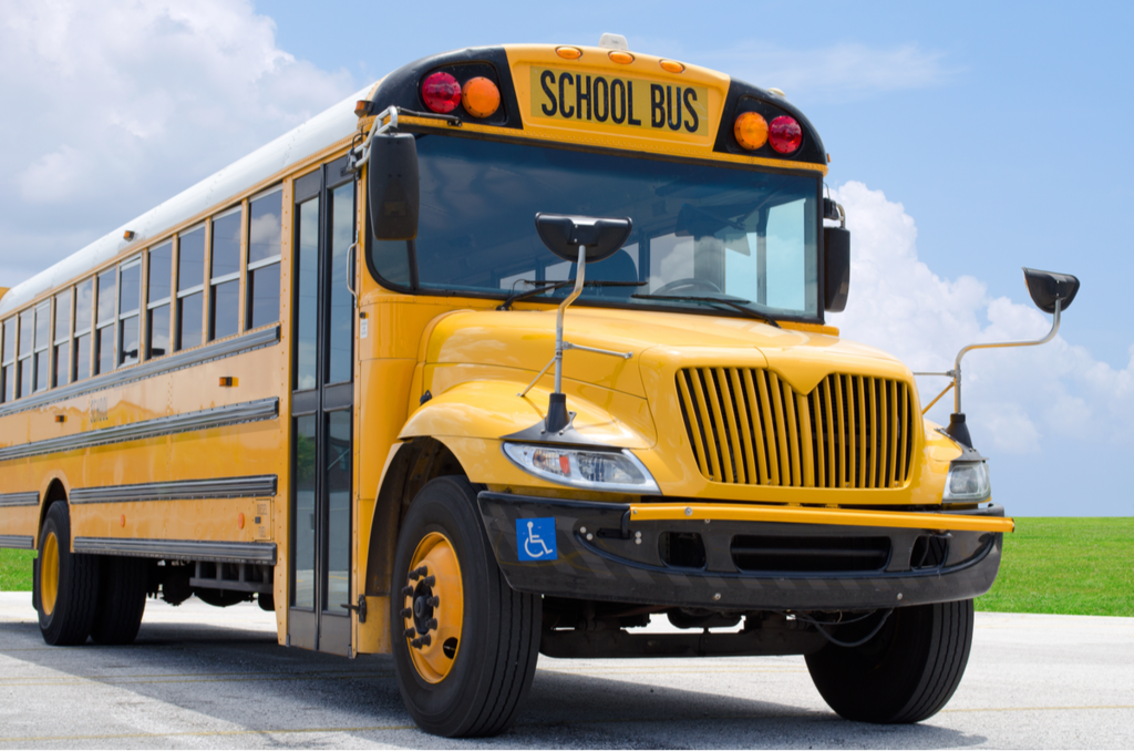 bus